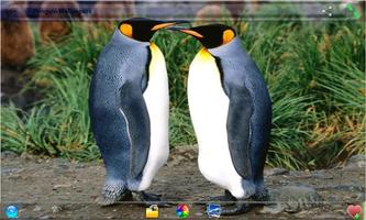 برنامه‌نما Penguin  Wallpapers عکس از صفحه