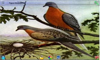 Pigeon Wallpapers screenshot 3