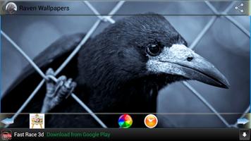 Raven Wallpapers capture d'écran 1