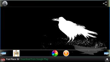 cuervo Wallpapers captura de pantalla 2