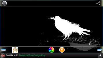 Raven Wallpapers Ekran Görüntüsü 2