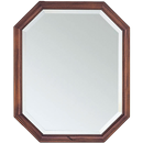 Mirror APK