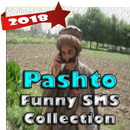 Pashto Jokes - Funny SMS APK