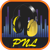 PNL  icon