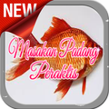 Masakan Padang peraktis dan maknyuss
