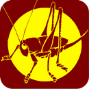Máscompás Flamenco Metronome APK