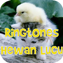 Ringtone Hewan Lucu aplikacja