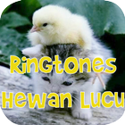 Ringtone Hewan ícone