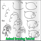 Animal Drawing Tutorial icône
