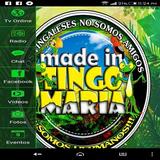 Made In Tingo Maria icono