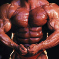 Bodybuilding for Fast Muscle