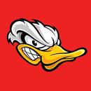 APK Angry Duck Shoot
