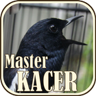 Suara Burung Kacer Master 图标