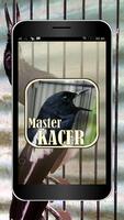 Suara Burung Kacer Master-poster