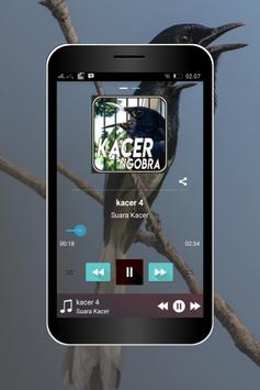 Master Burung Kacer Ngobra Apk App Free Download For Android