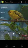 Lovebird Singing Affiche