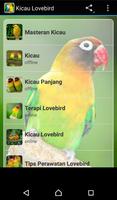 Chilrear dos pássaros Lovebird imagem de tela 1