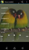 Chilrear dos pássaros Lovebird imagem de tela 2