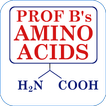 Amino Acid Flashcards