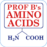 Amino Acid Flashcards icône