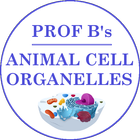 Animal Cell Flashcards icône