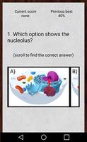 Animal Cell Flashcards capture d'écran 2