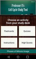 Cell Cycle Flashcards poster