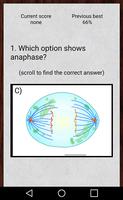 Cell Cycle Flashcards capture d'écran 2