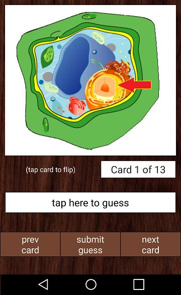 Plant Cell Flashcards For Android Apk Download