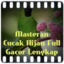 Masteran Cucak Hijau Ful Gacor APK