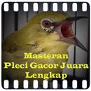 Masteran Pleci Gacor Juara APK