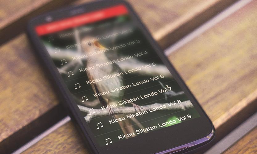 Masteran Juara Kicau Sikatan Londo Om Kicau For Android Apk Download