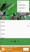 Kicau Burung Nuri captura de pantalla 2