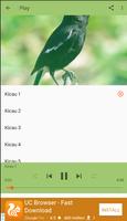 Masteran Burung Decu स्क्रीनशॉट 1