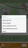 Masteran Burung Cucak Rowo screenshot 3