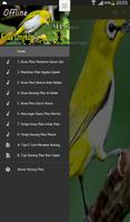 Kicau Burung Pleci MP3 Masteran capture d'écran 1