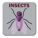 Insects APK