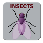 Insects 아이콘