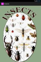 Insects Plakat