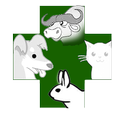 Veterinarian