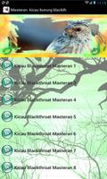 Masteran  kicau : burung blackthroat juara poster