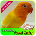 Masteran kicau love bird pastel kuning biểu tượng