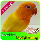 Masteran kicau love bird pastel kuning icône