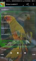 Masteran : Lovebird Pastel Ijo poster