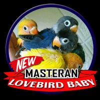 Masteran Lovebird Baby Poster