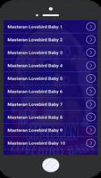 Masteran Lovebird Baby تصوير الشاشة 1