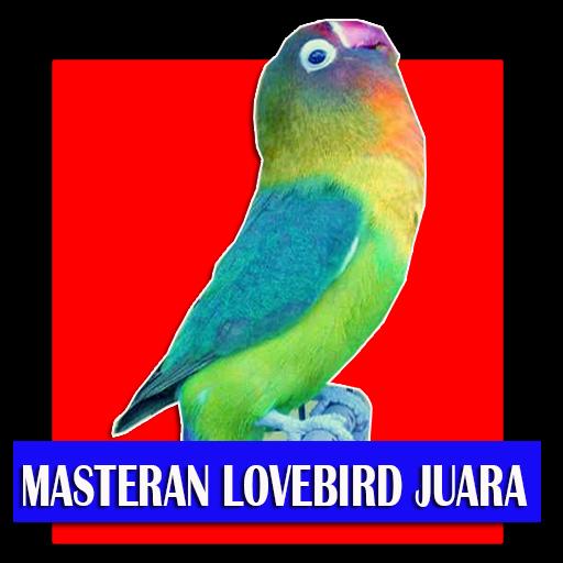 Bird's voice Lovebird Champion APK for Android Download