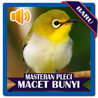 Terapi Masteran Pleci Macet Bunyi icône