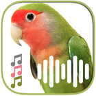 Relaxing Bird Sounds icon