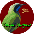 Kicau Cucak Cungko